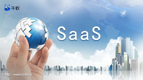 計算機信息技術(shù)開發(fā)中牛蟻的巧妙應用